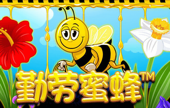 2022Cgy钙同登录入口